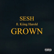 Grown by Sesh feat. Kiing Harold