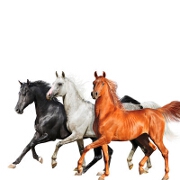 Old Town Road (Diplo Remix) by Lil Nas X feat. Billy Ray Cyrus