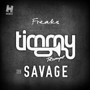 Freaks by Timmy Trumpet And Savage